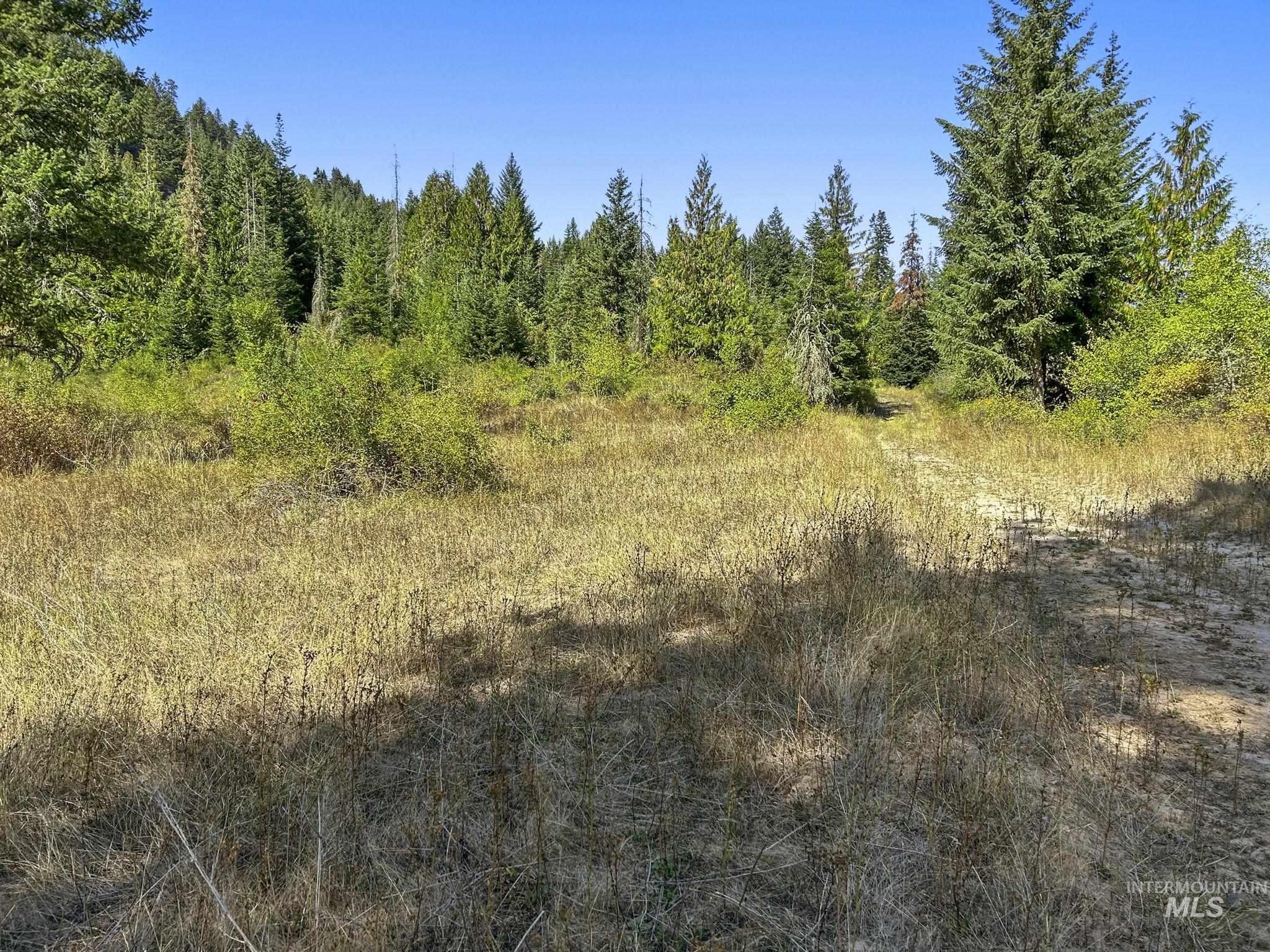Nka Nka North Road Kendrick, ID 83537 - Photo 28 of 40 View of wooded area