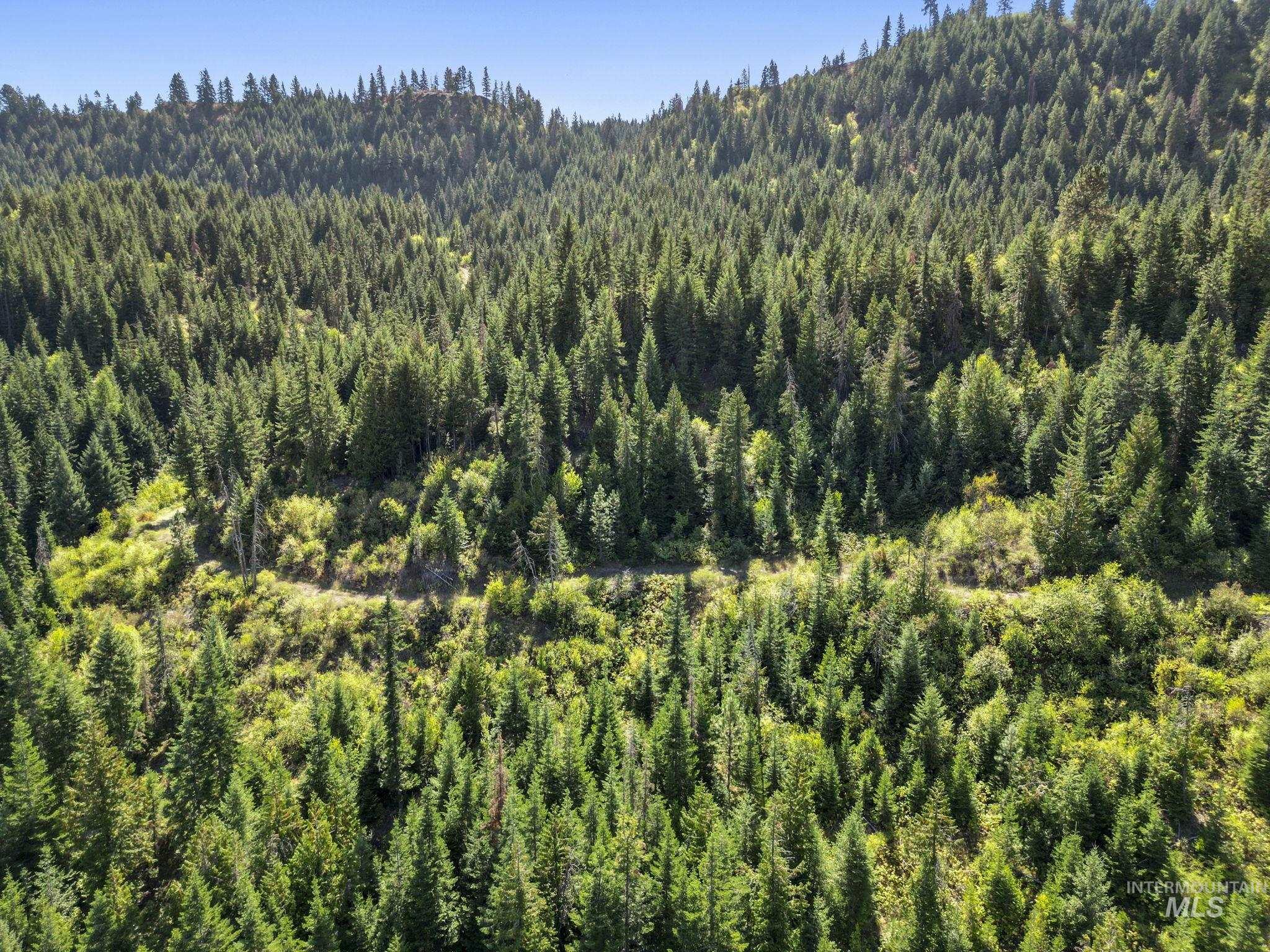 Nka Nka North Road Kendrick, ID 83537 - Photo 29 of 40 Bird's eye view of a forest