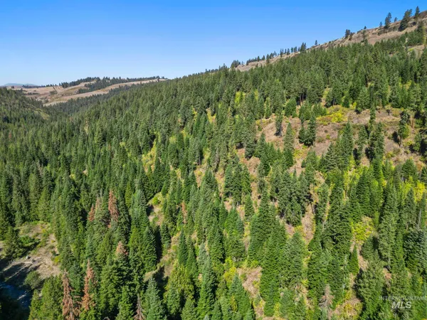 $599,000 | Nka Nka North Road, Kendrick, ID 83537