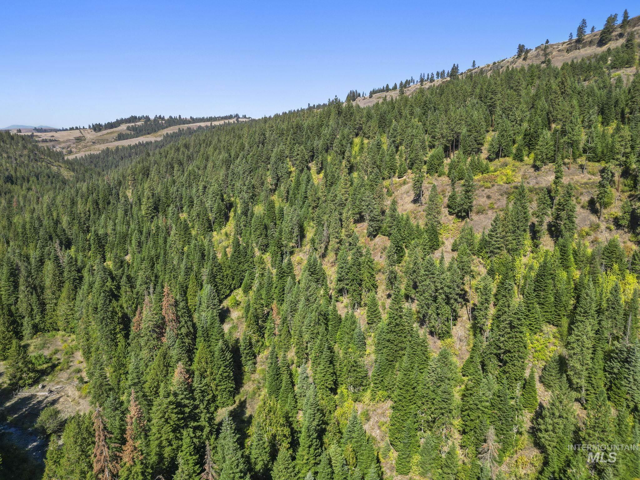 Nka Nka North Road Kendrick, ID 83537 - Photo 30 of 40 Bird's eye view of a heavily wooded area