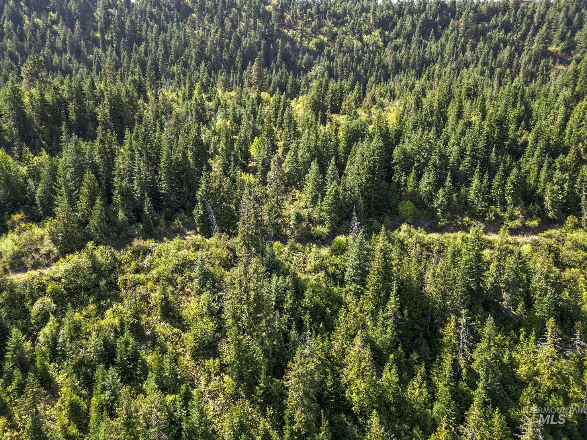 Nka Nka North Road Kendrick, ID 83537 - Photo 31 of 40 Drone / aerial view