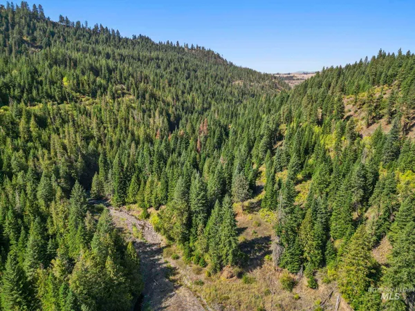 $599,000 | Nka Nka North Road, Kendrick, ID 83537