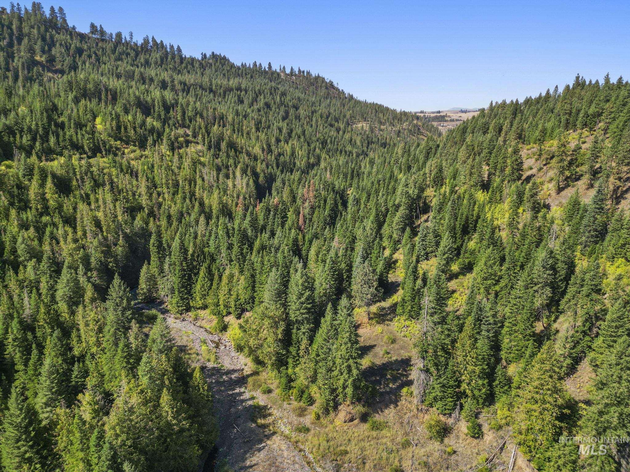 Nka Nka North Road Kendrick, ID 83537 - Photo 35 of 40 Bird's eye view of a heavily wooded area