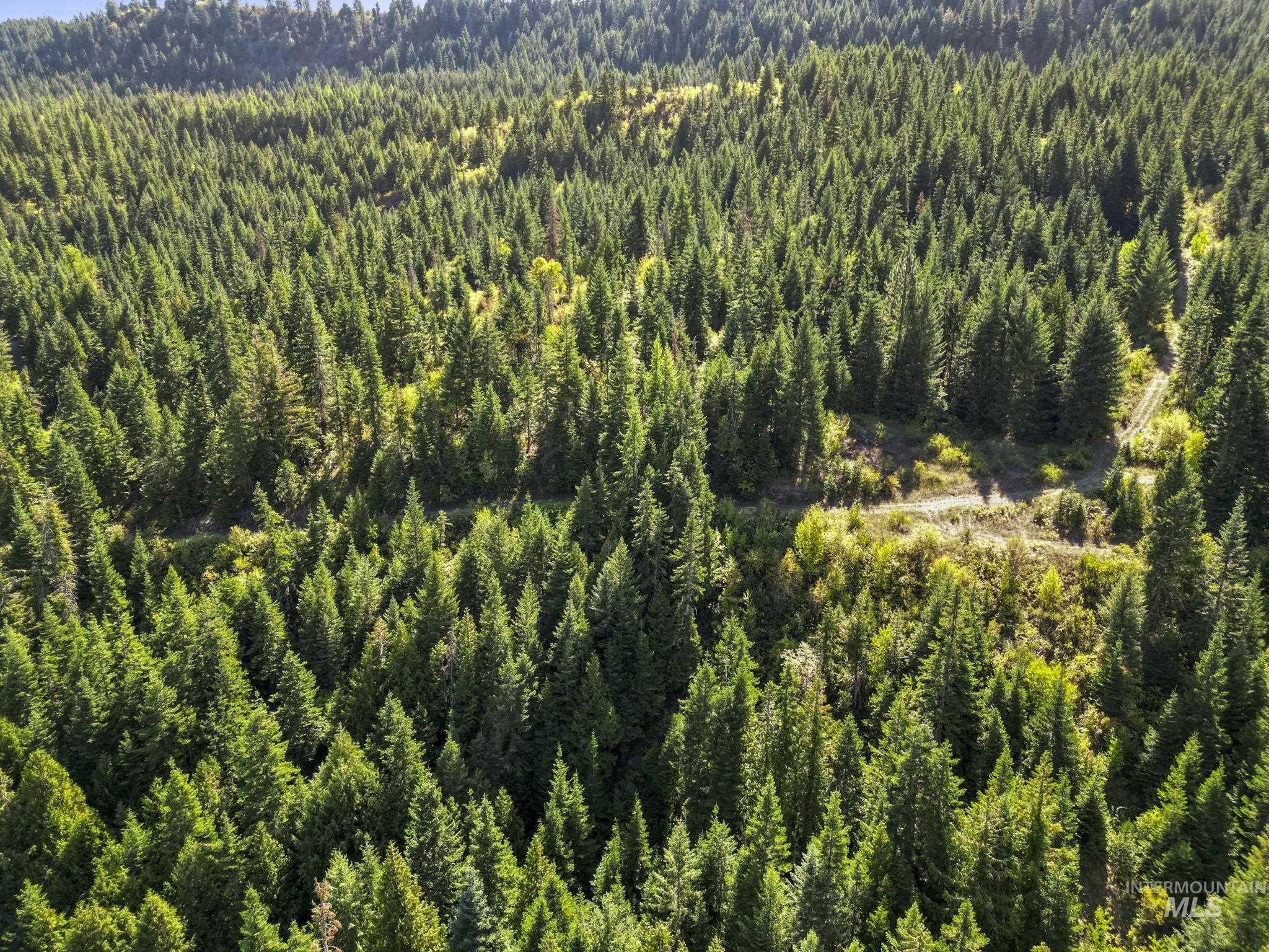 Nka Nka North Road Kendrick, ID 83537 - Photo 38 of 40 Drone / aerial view of a heavily wooded area