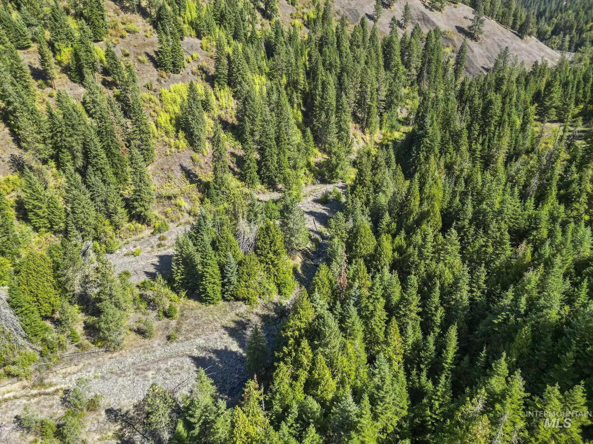 Nka Nka North Road Kendrick, ID 83537 - Photo 39 of 40 Aerial view of a heavily wooded area