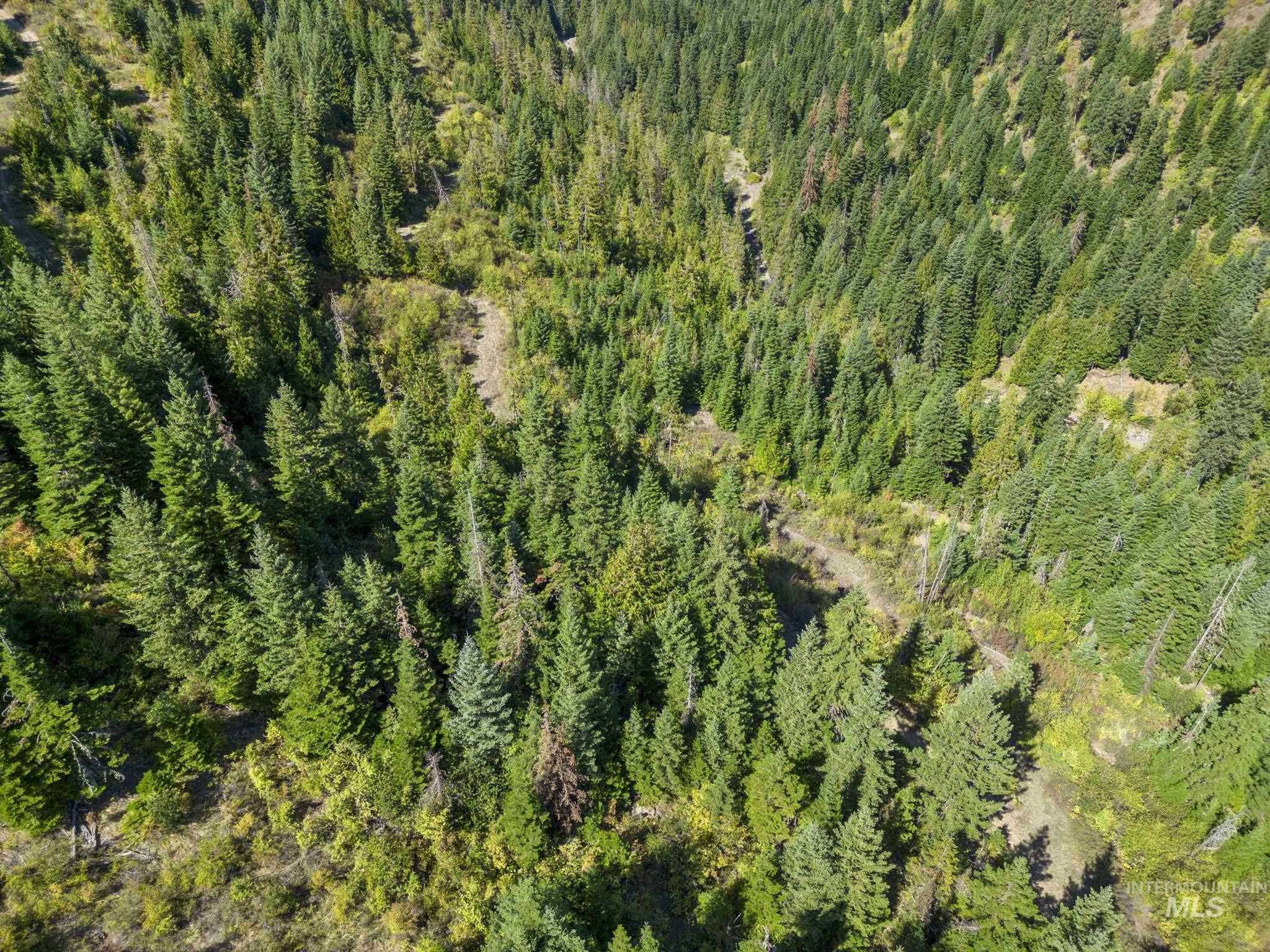 Nka Nka North Road Kendrick, ID 83537 - Photo 7 of 40 Aerial view of a forest