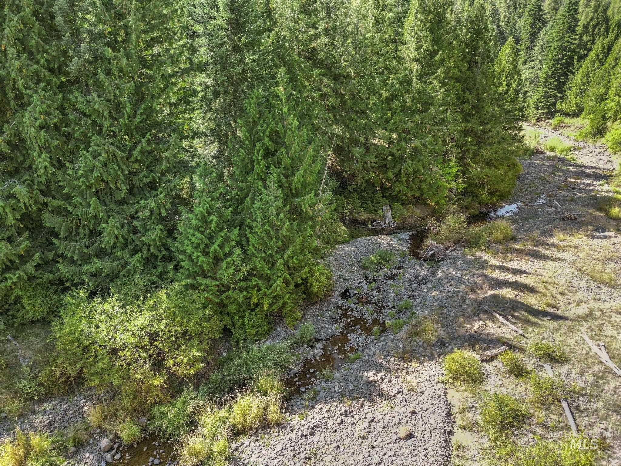 Nka Nka North Road Kendrick, ID 83537 - Photo 8 of 40 View of local wilderness