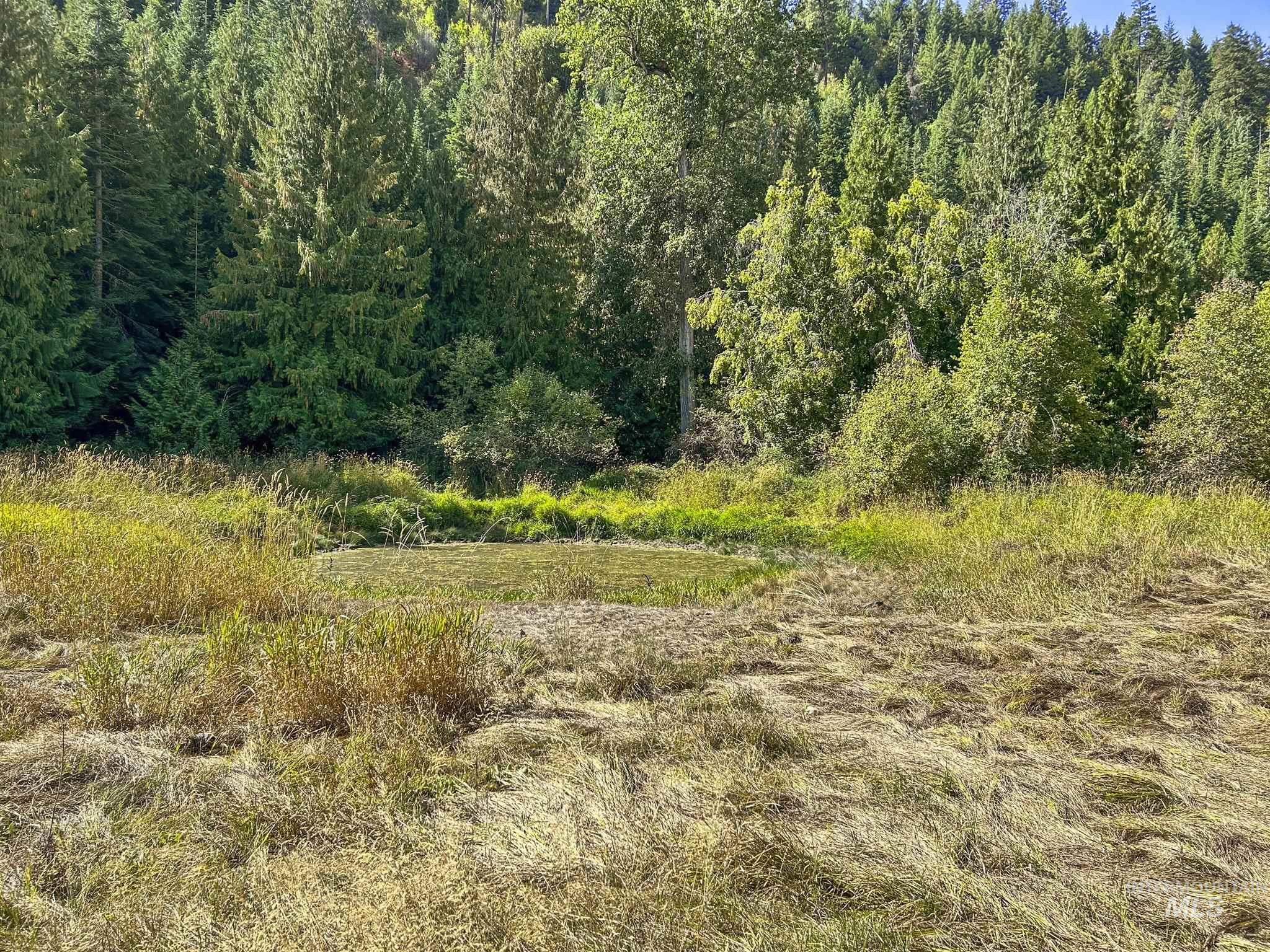 Nka Nka North Road Kendrick, ID 83537 - Photo 9 of 40 View of nature