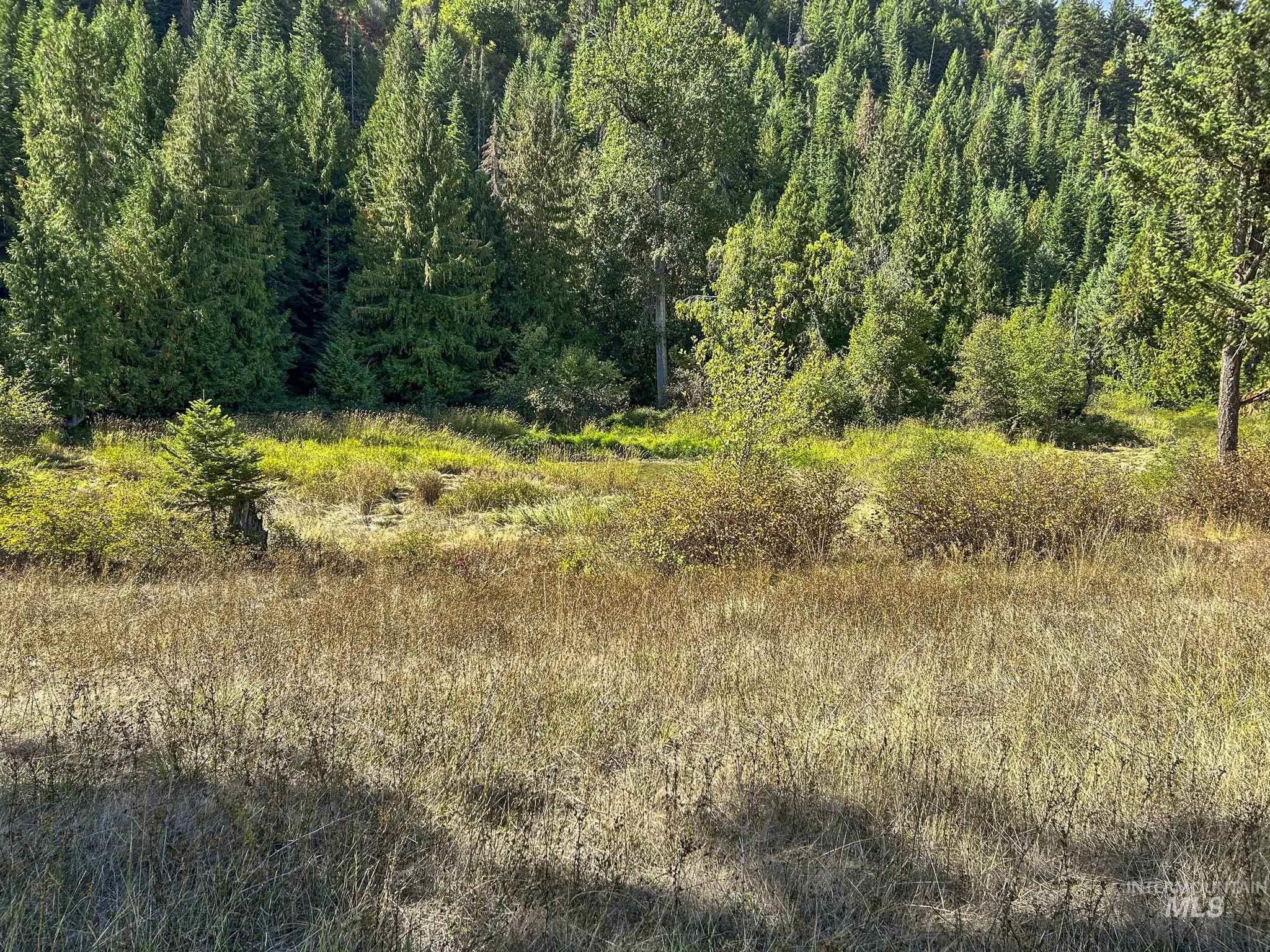 Nka Nka North Road Kendrick, ID 83537 - Photo 10 of 40 View of local wilderness