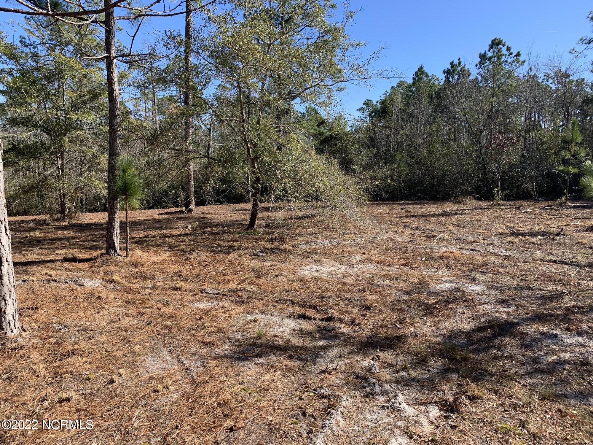 1992 East Boiling Spring Road Southport, NC 28461 - Photo 5 of 12 BA75177C-F637-4DB5-93D2-57CB4D0CF480
