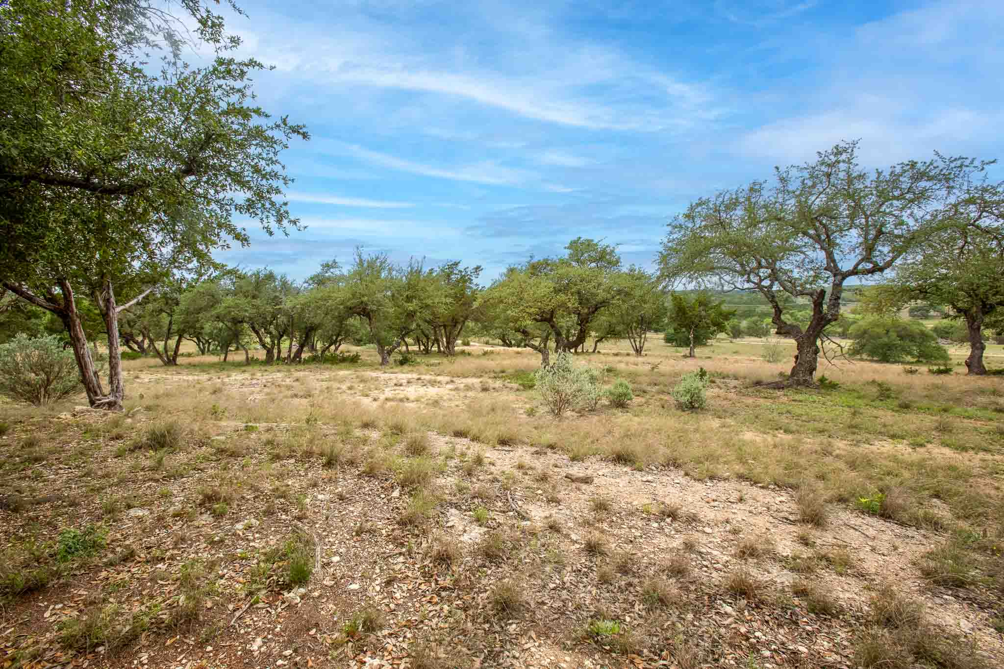 4525 Bell Springs Road Dripping Springs, TX 78620 - Photo 34 of 39 a view of yard covered with green space