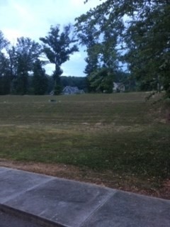 0 Spring Creek Drive Northeast Cleveland, TN 37312 - Photo 6 of 8