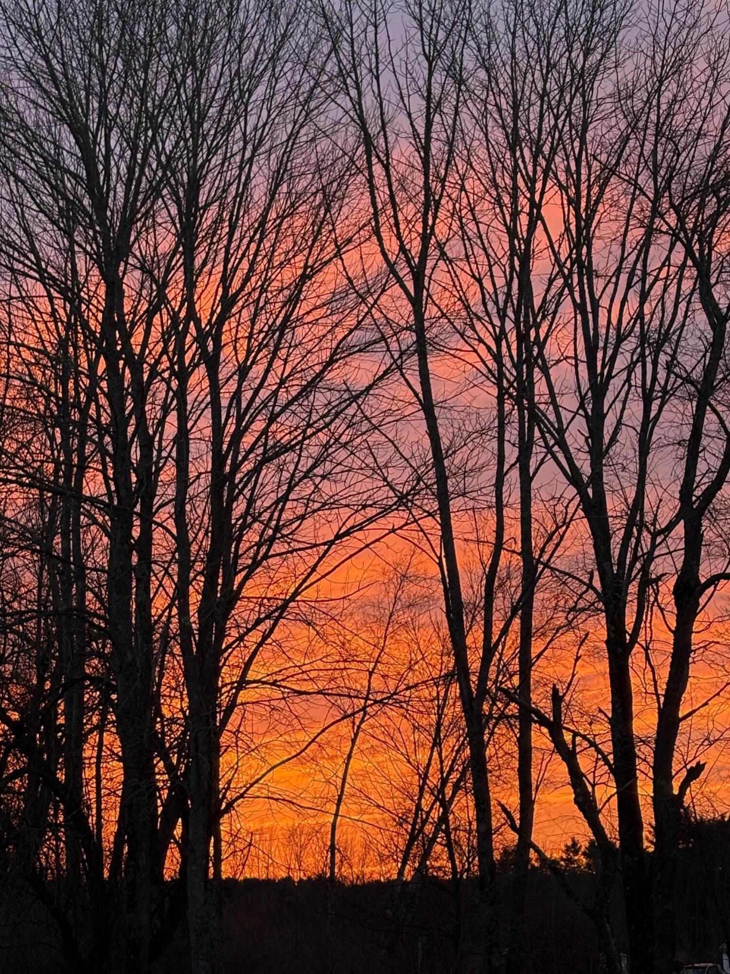 113 Stetson Road Newport, ME 04953 - Photo 63 of 78 Sunset beyond the trees