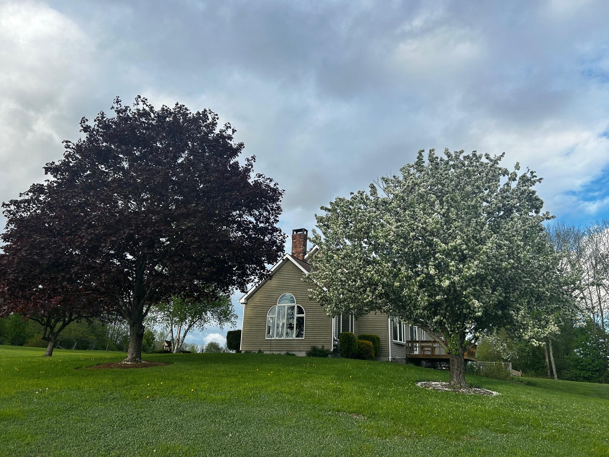 113 Stetson Road Newport, ME 04953 - Photo 8 of 78 IMG_0797
