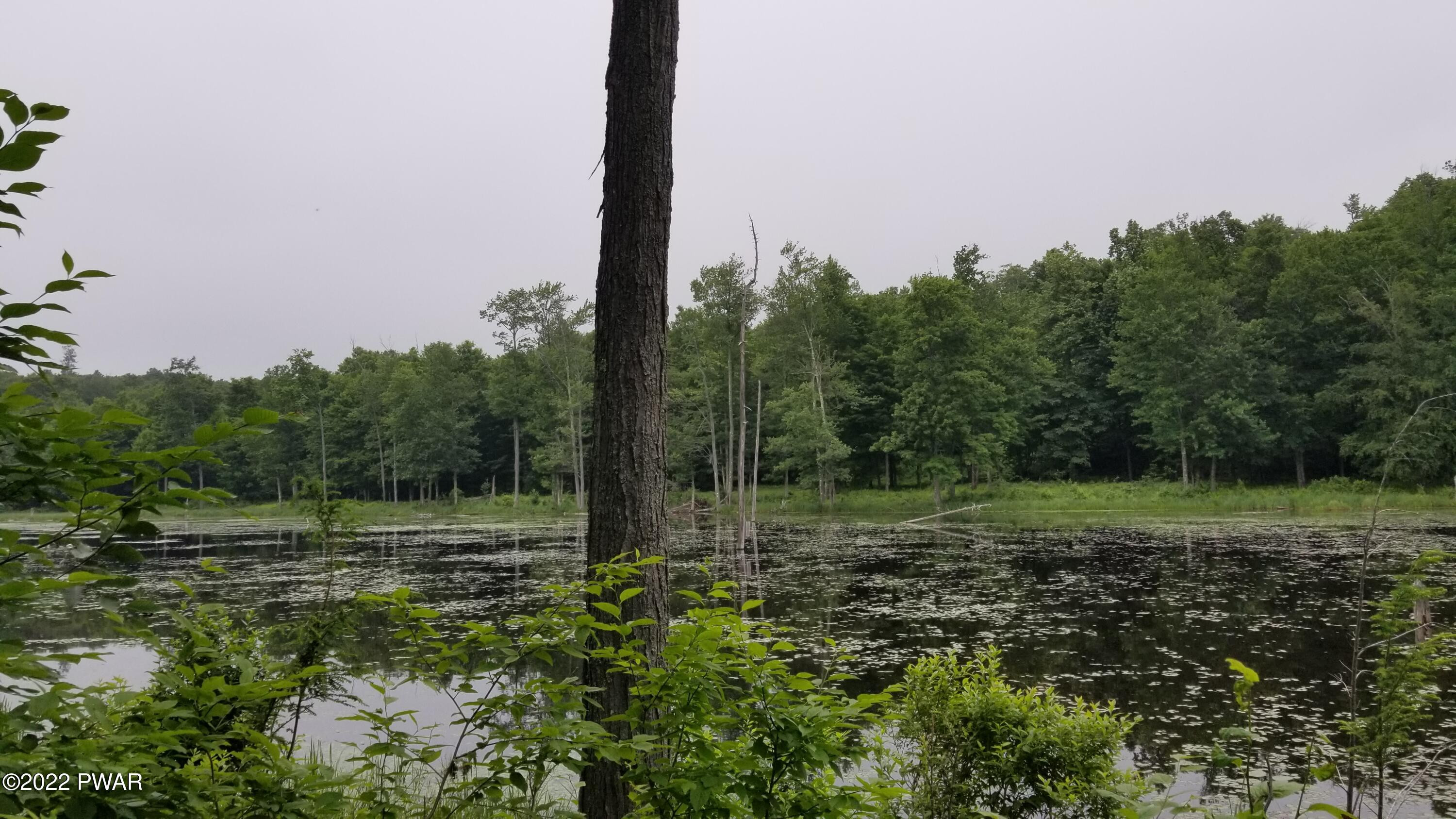 Lot 80 Stonegate Road Equinunk, PA 18417 - Photo 15 of 58