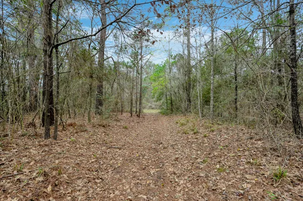 $1,297,990 | 14 Mills Lane, Richards, TX 77873