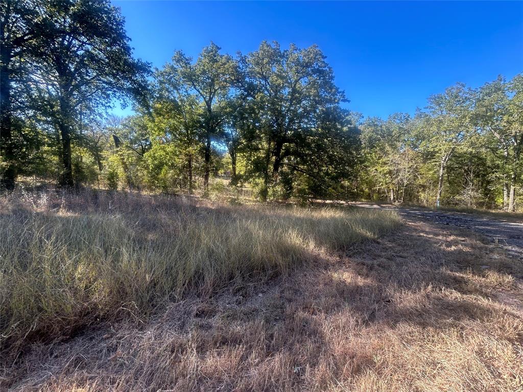 58 Point La Vista Road Malakoff, TX 75148 - Photo 3 of 10