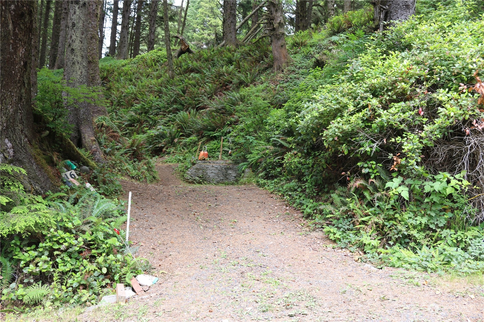16 Ocean View Lane Copalis Beach, WA 98535 - Photo 23 of 39 a view of a pathway both side of yard