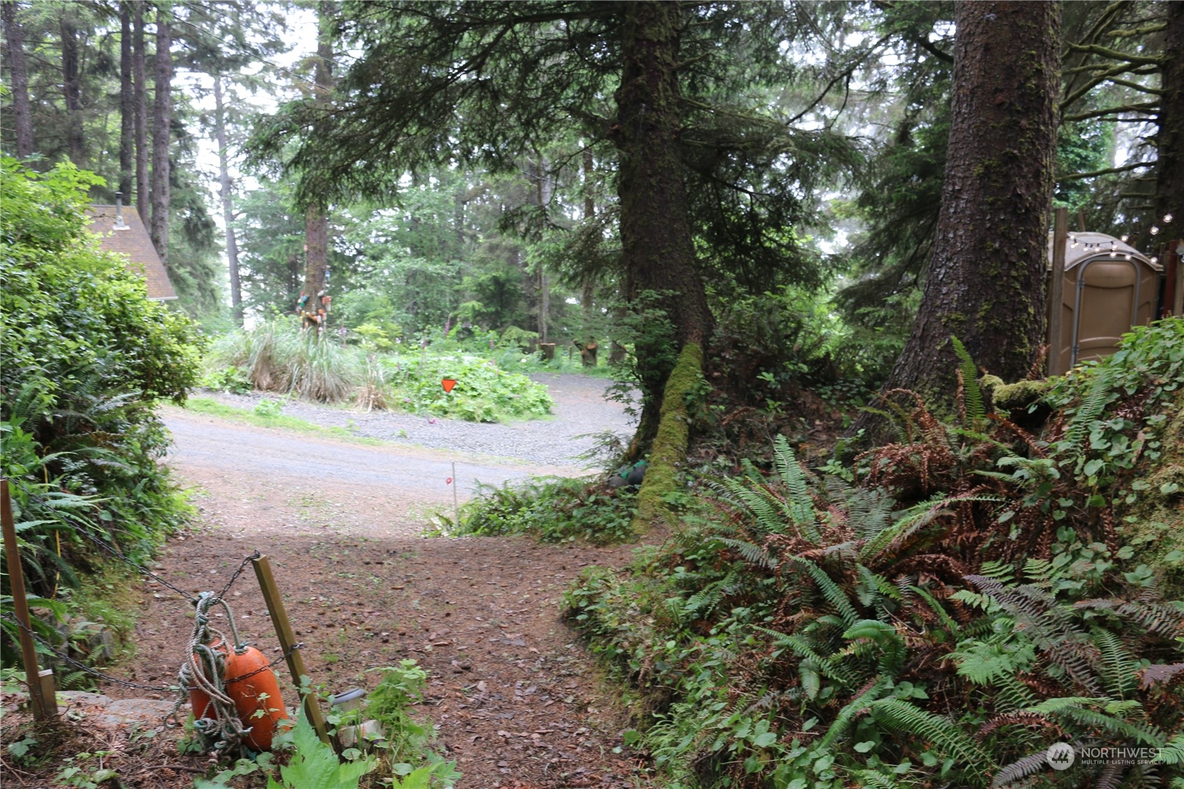 16 Ocean View Lane Copalis Beach, WA 98535 - Photo 25 of 39 a view of a garden with plants and large trees