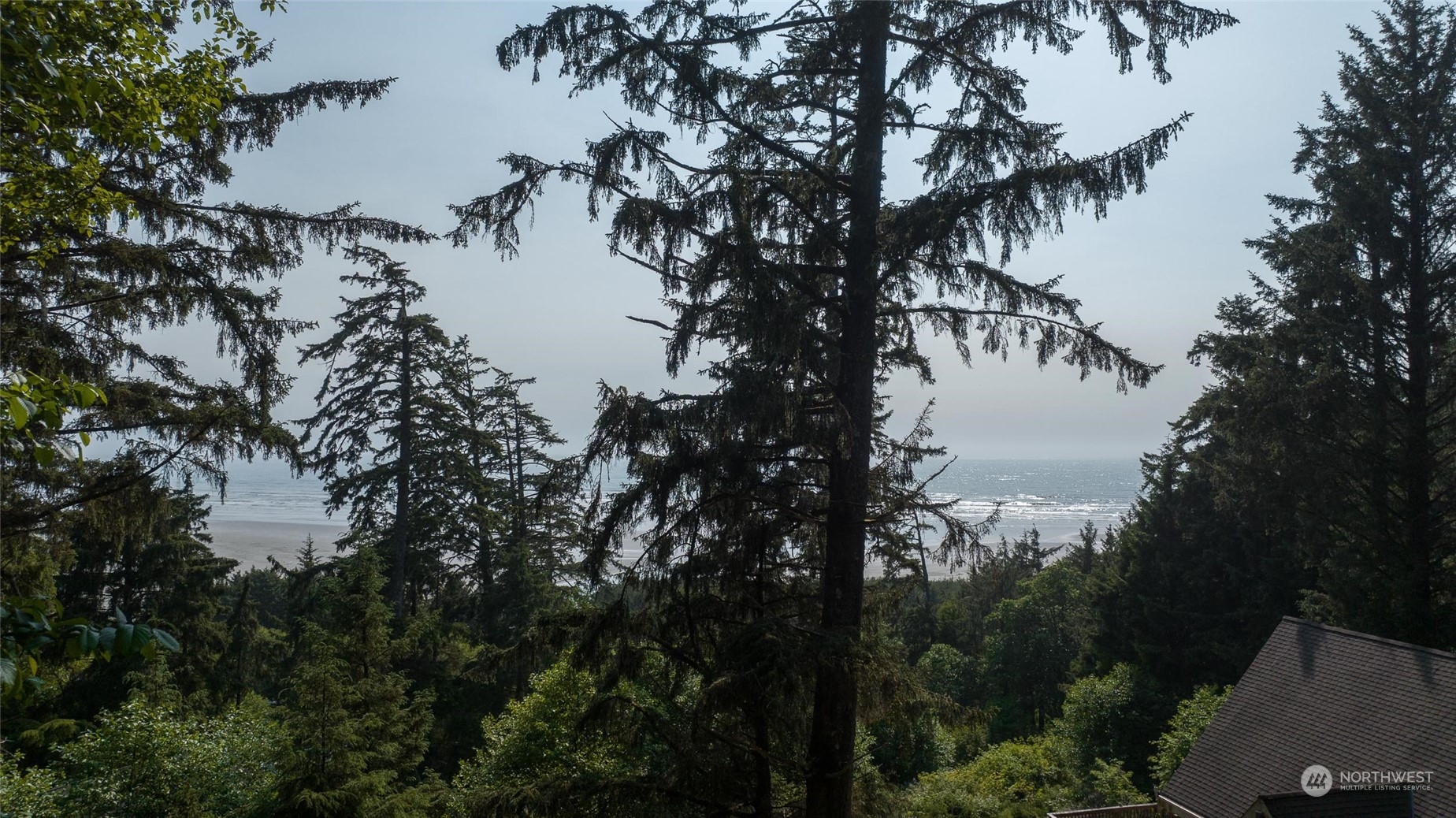 16 Ocean View Lane Copalis Beach, WA 98535 - Photo 6 of 39 a view of lake from a lake