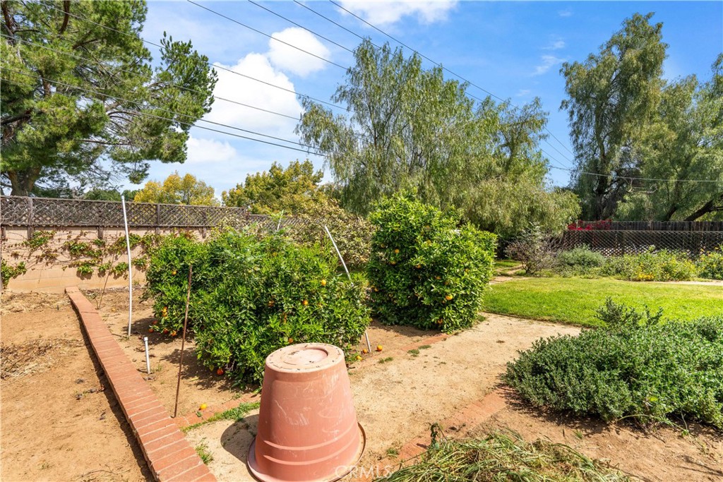 1965 Prince Albert Drive Riverside, CA 92507 - Photo 35 of 38 a view of a backyard of the house