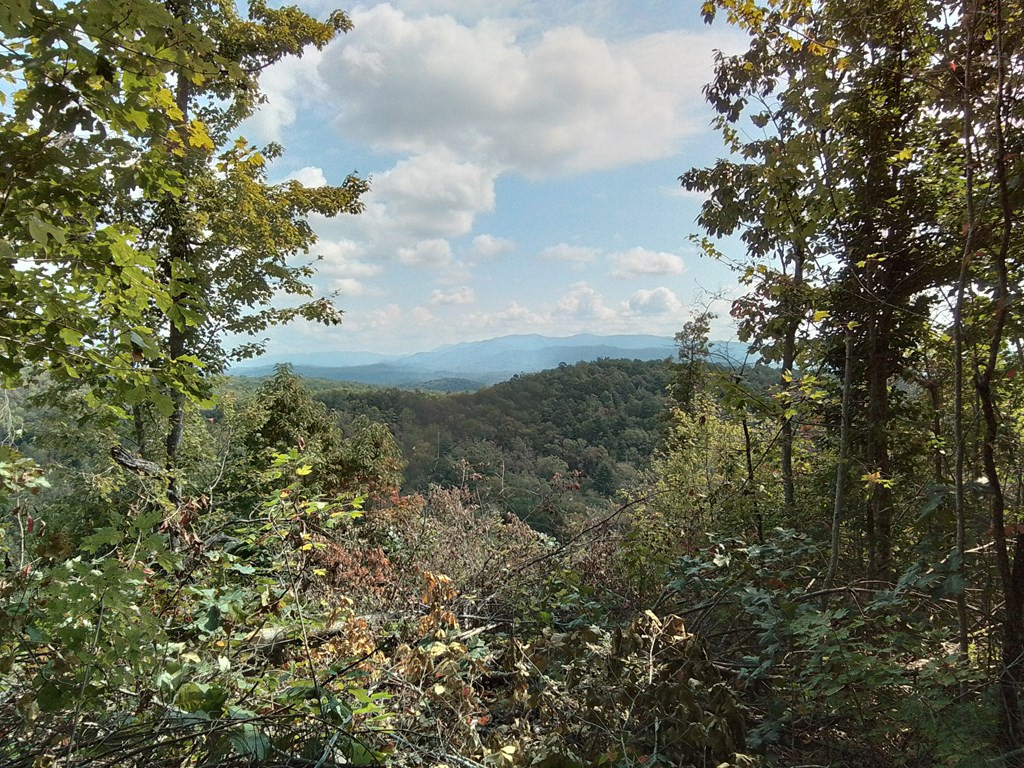 End Of Tanglewood Ridge Murphy, NC 28906 - Photo 4 of 38
