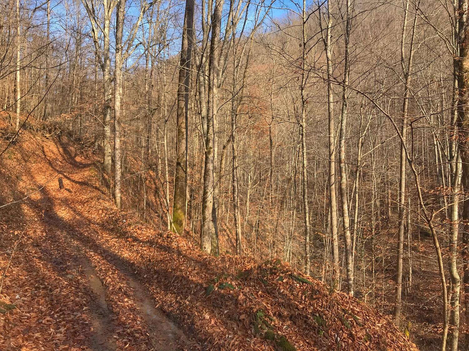 2 Otter Creek Road Manchester, KY 40962 - Photo 29 of 51 Photo 29