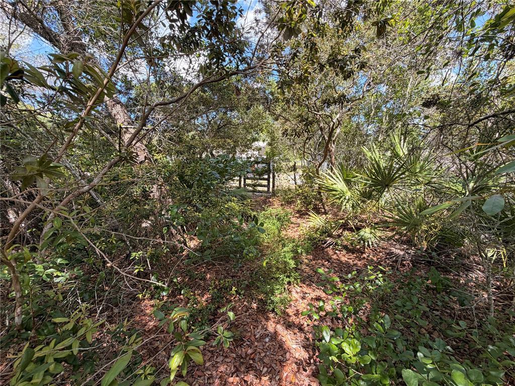 472 Shaw Lake Road Pierson, FL 32180 - Photo 34 of 36