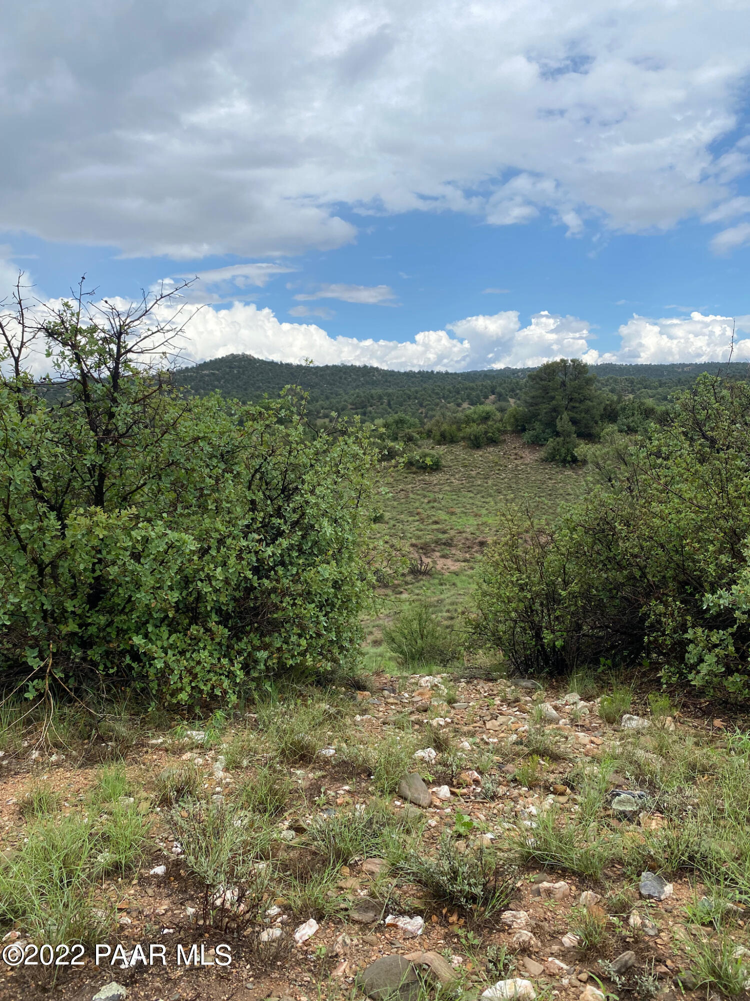 13600 North Pheasant Run Road Prescott, AZ 86305 - Photo 11 of 13 a view of a yard with an outdoor seating