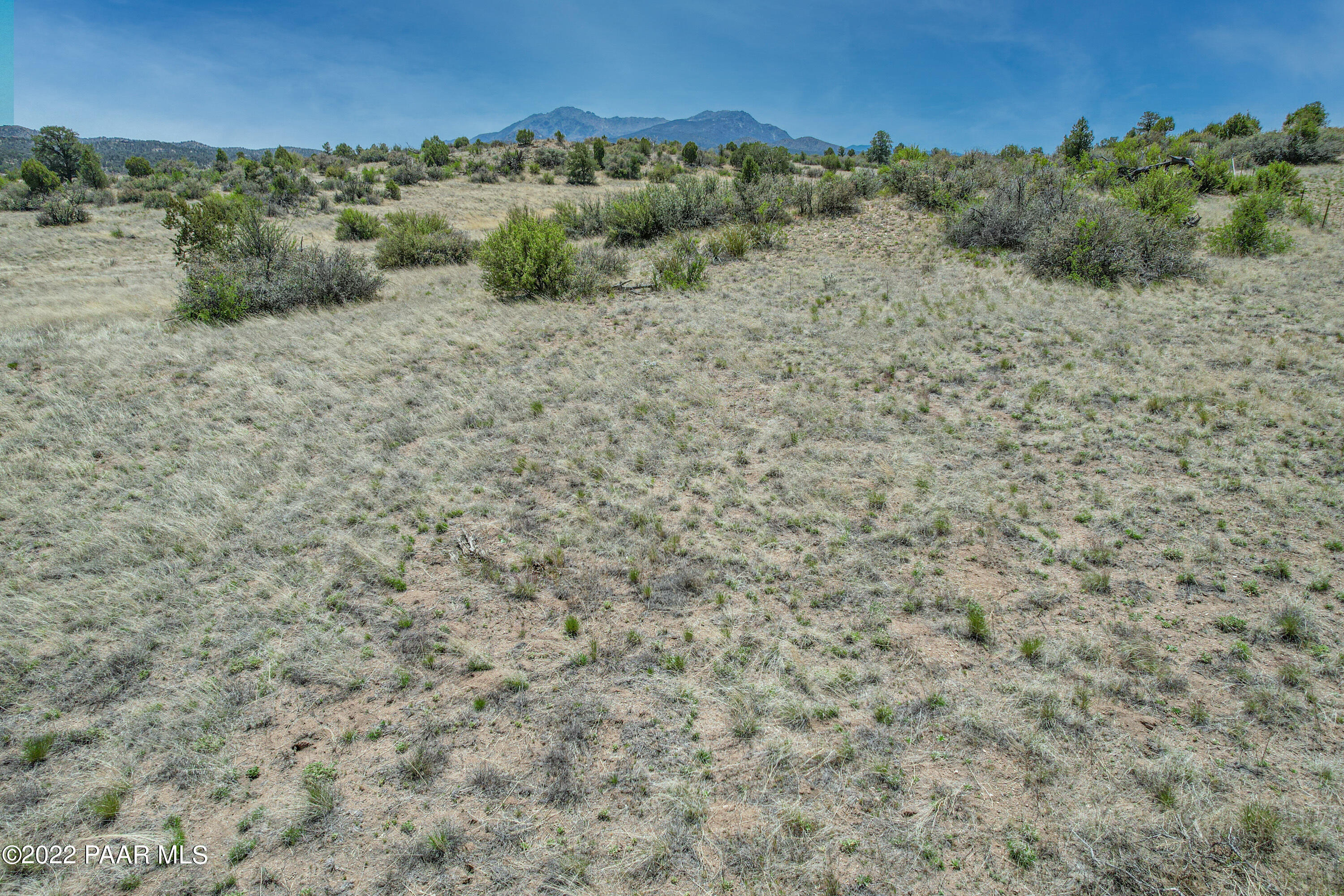 13600 North Pheasant Run Road Prescott, AZ 86305 - Photo 13 of 13 a view of a dry field with trees in the background