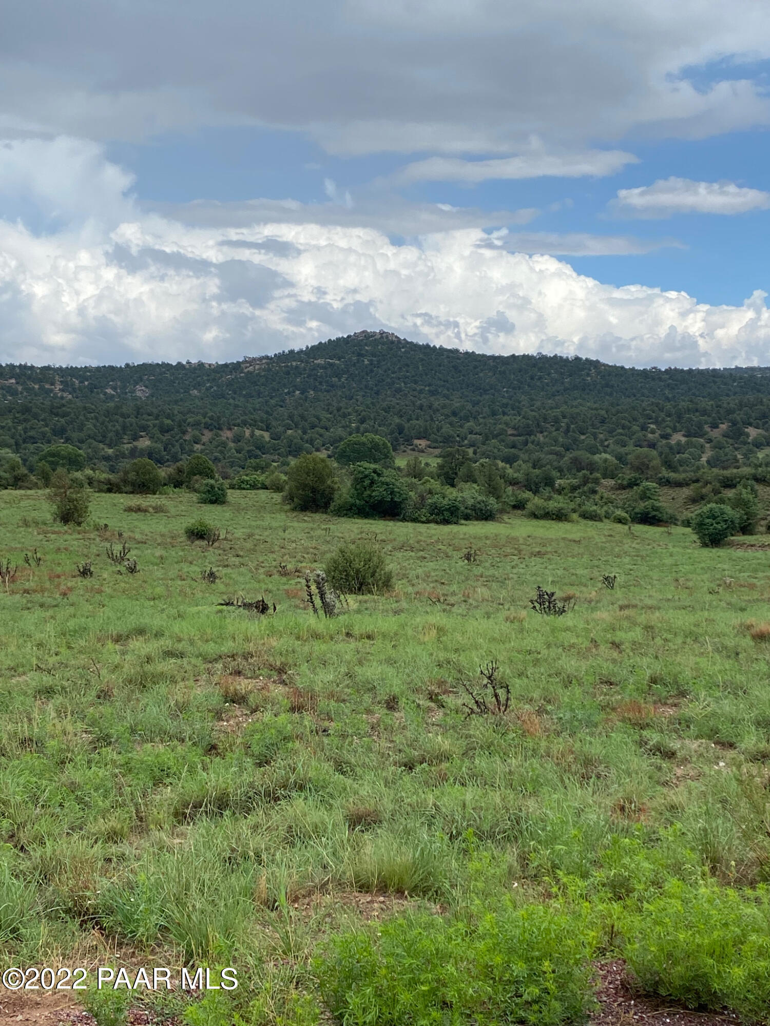 13600 North Pheasant Run Road Prescott, AZ 86305 - Photo 8 of 13 a view of a green field