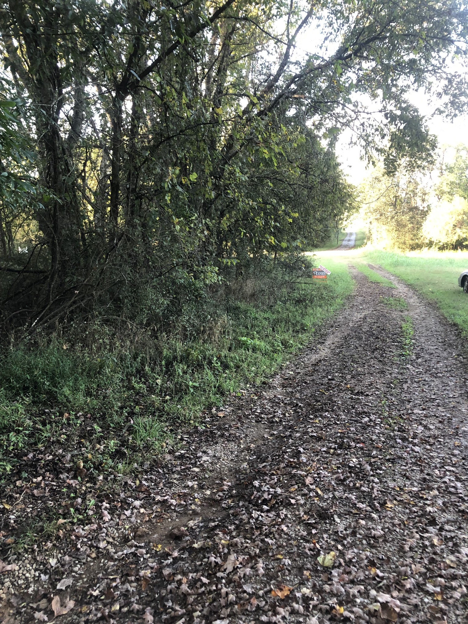 0 Ross Road Pulaski, TN 38478 - Photo 30 of 30 a view of a yard with a tree