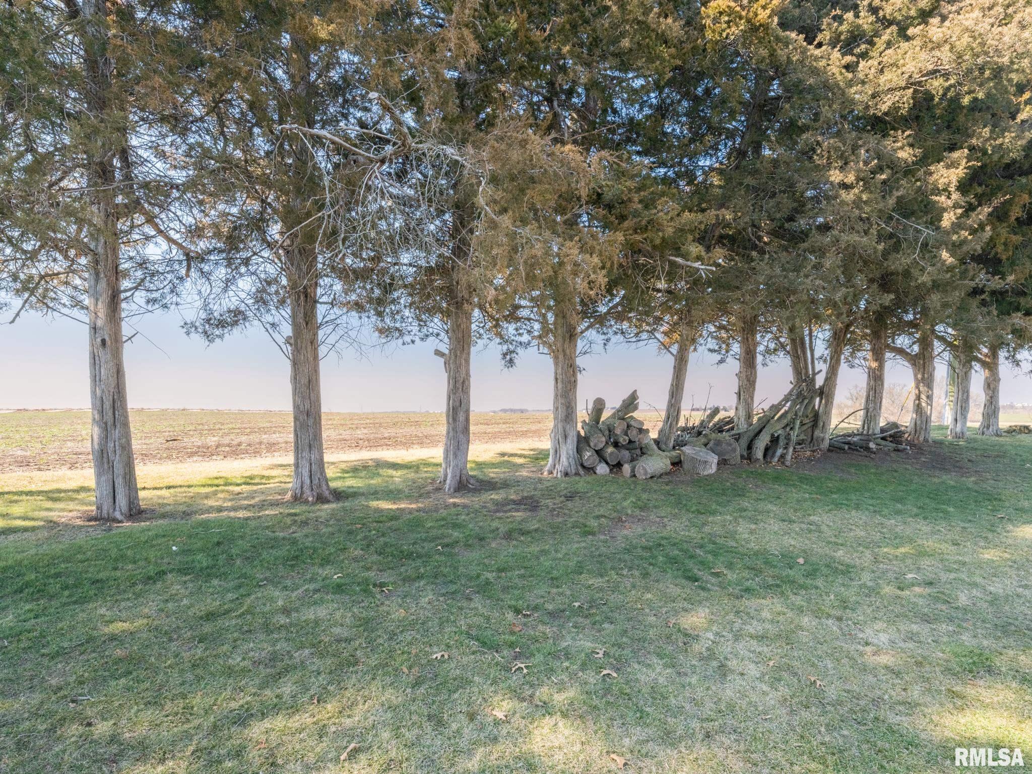 113 North 6th Street Dunlap, IL 61525 - Photo 52 of 55