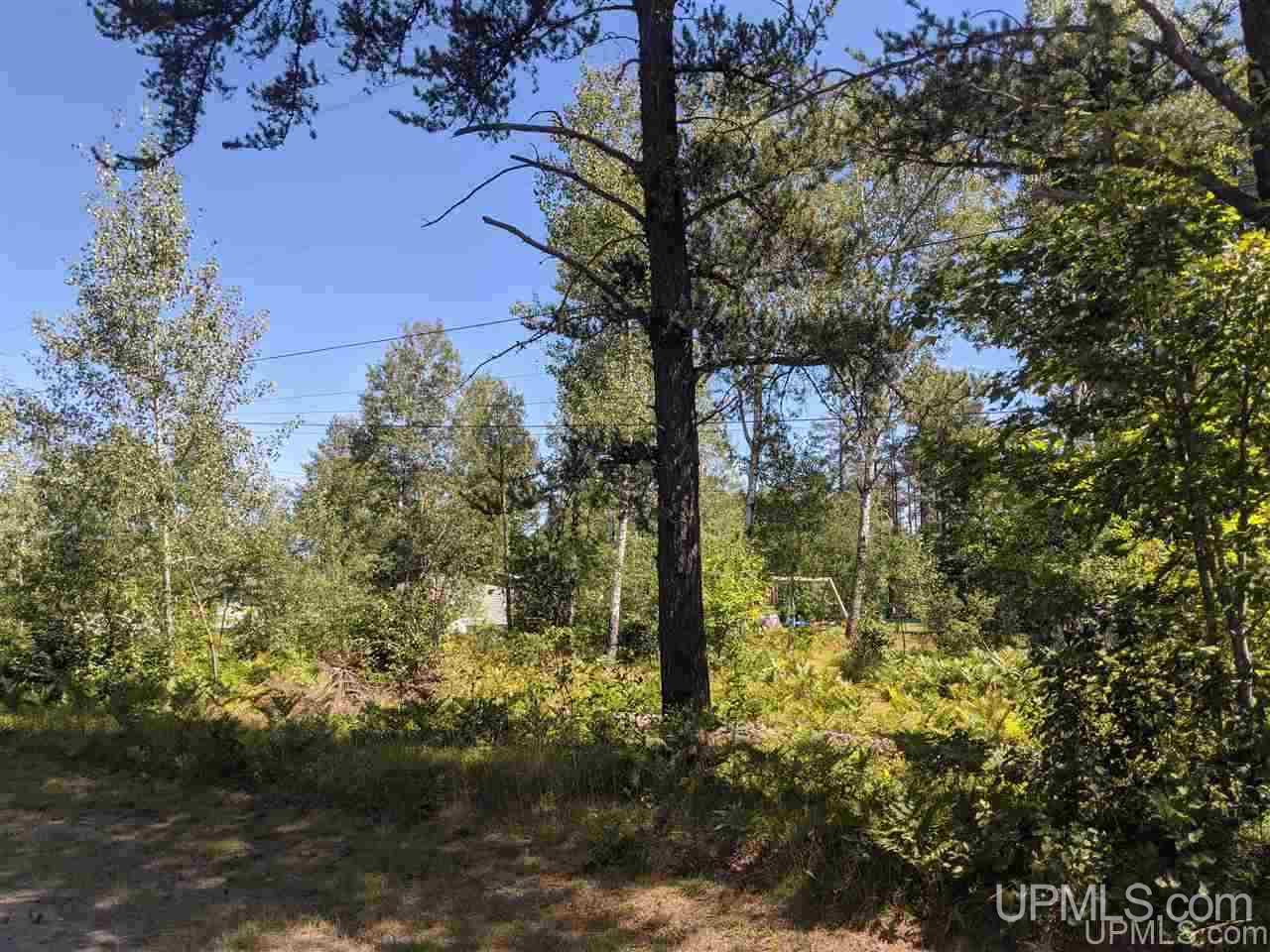 6945 County Road CD Ishpeming, MI 49849 - Photo 45 of 49
