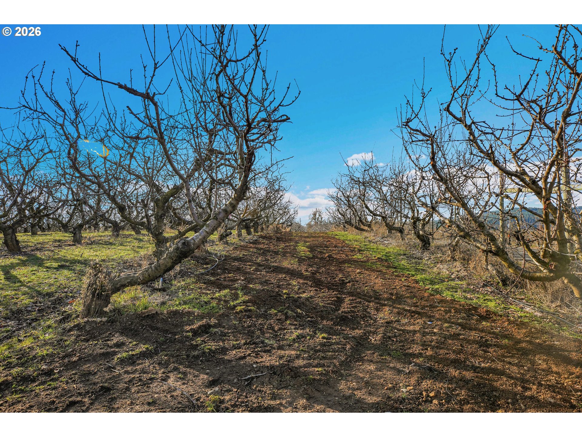 4975 Green Road Hood River, OR 97031 - Photo 12 of 35