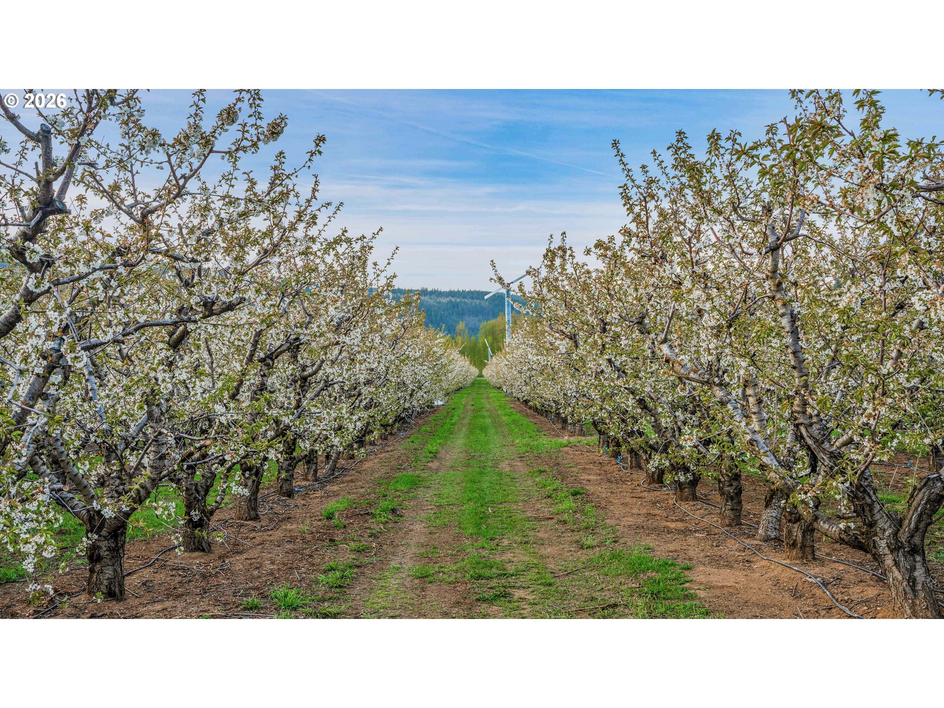 4975 Green Road Hood River, OR 97031 - Photo 7 of 35