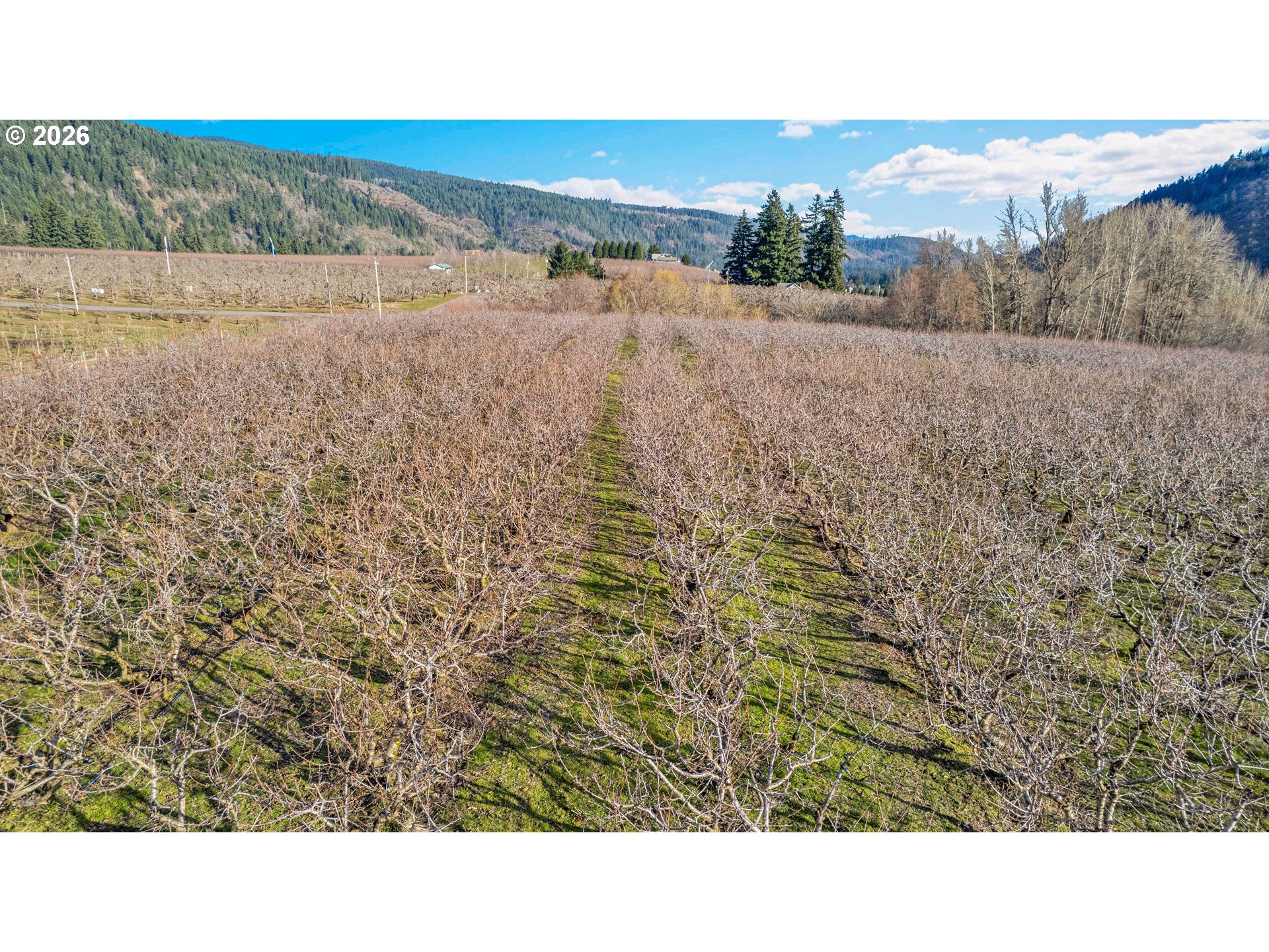 4975 Green Road Hood River, OR 97031 - Photo 8 of 35