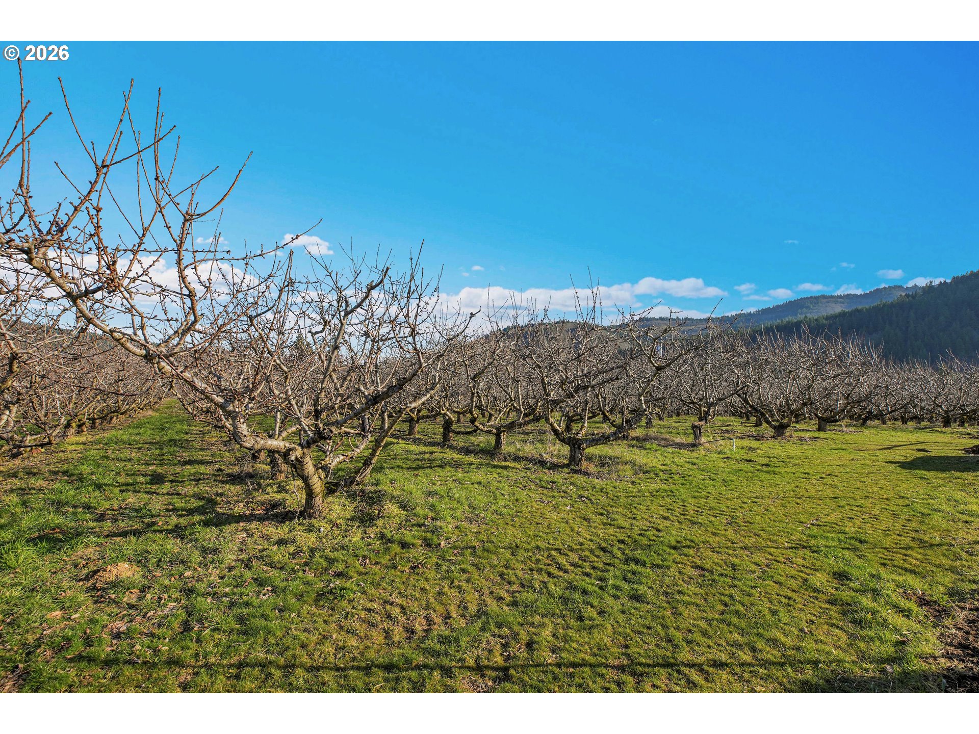 4975 Green Road Hood River, OR 97031 - Photo 9 of 35
