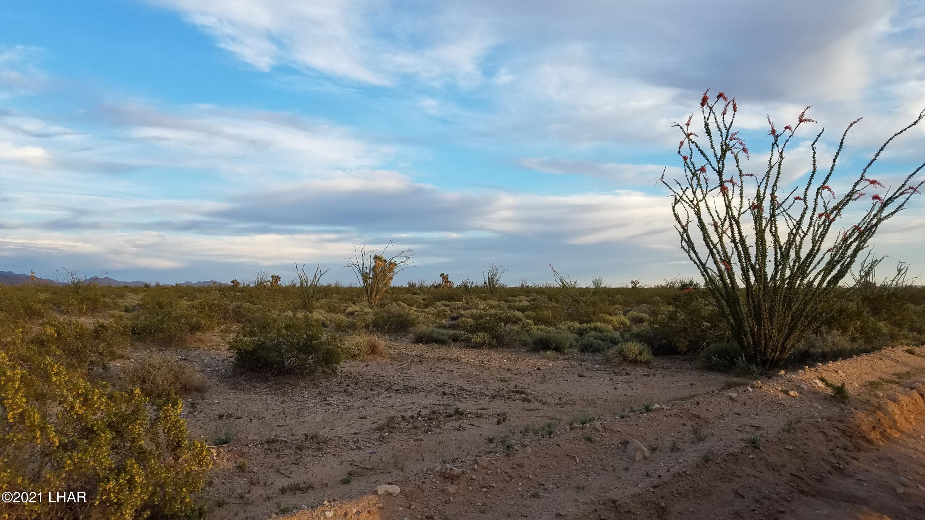 0 West Santa Fe Ranch Road Yucca, AZ 86438 - Photo 3 of 11 20170417_184631