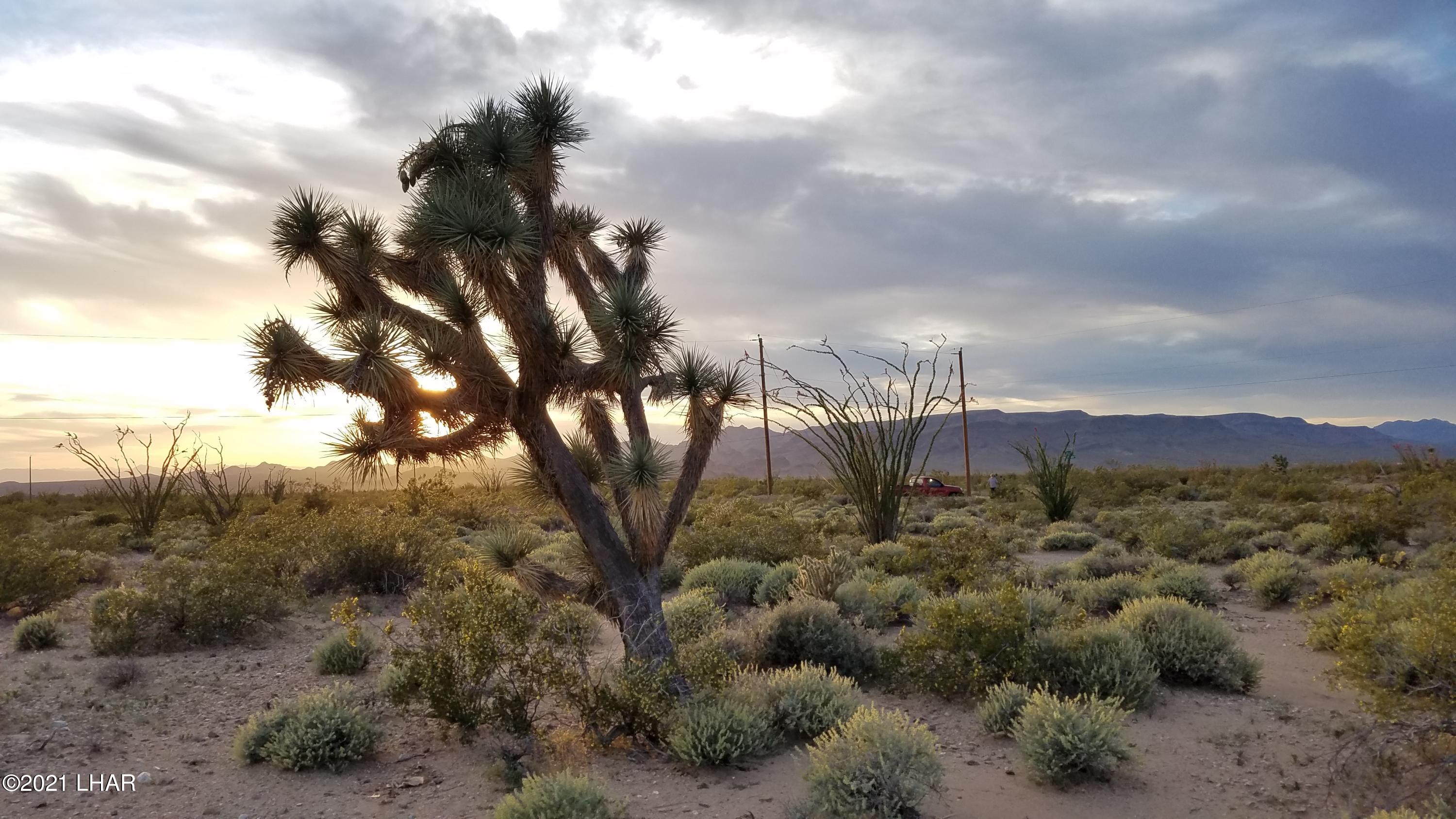 0 West Santa Fe Ranch Road Yucca, AZ 86438 - Photo 7 of 11 20170417_185320 (1)