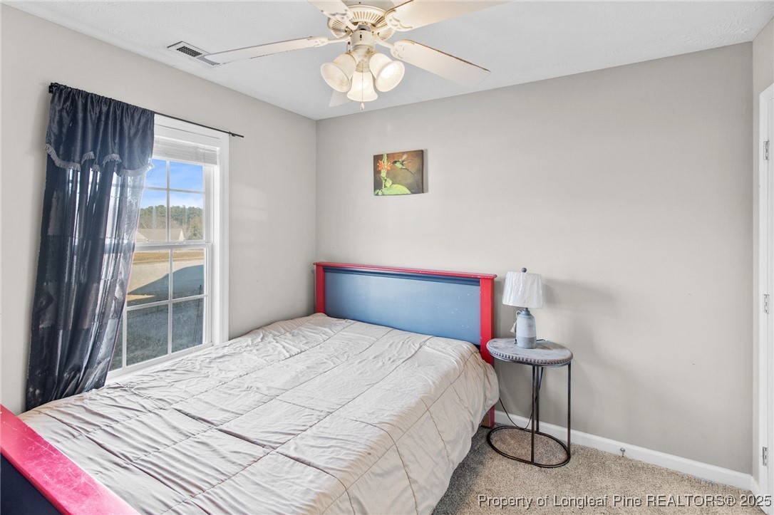 289 Rushmore Court Raeford, NC 28376 - Photo 28 of 35