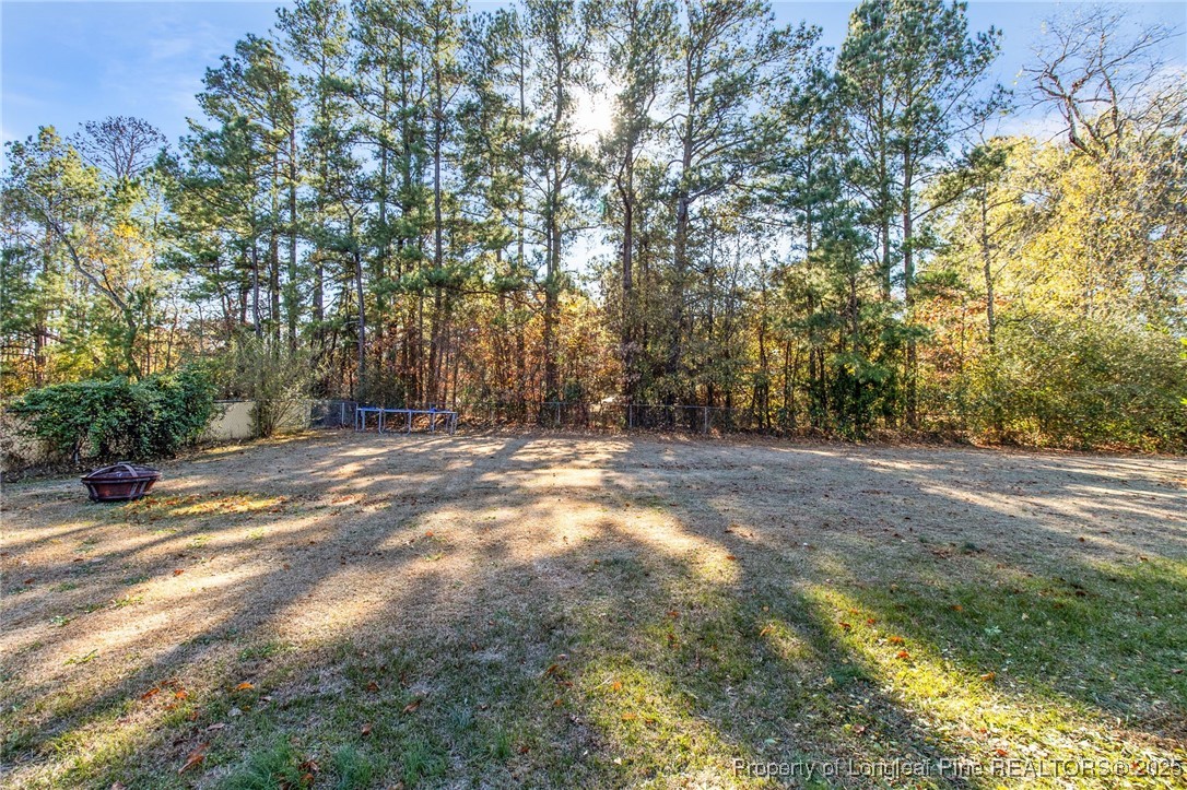 289 Rushmore Court Raeford, NC 28376 - Photo 31 of 35