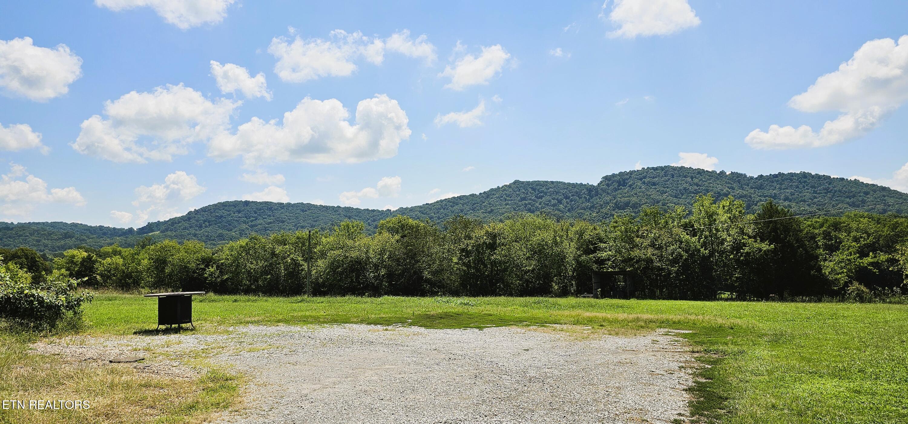 1438 Reed Bull Road New Market, TN 37820 - Photo 3 of 20 View from Back of home - Reed Bull Rd