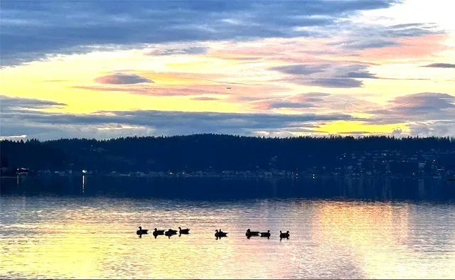 $2,588,880 | 110 174th Place Northeast, Bellevue, WA 98008