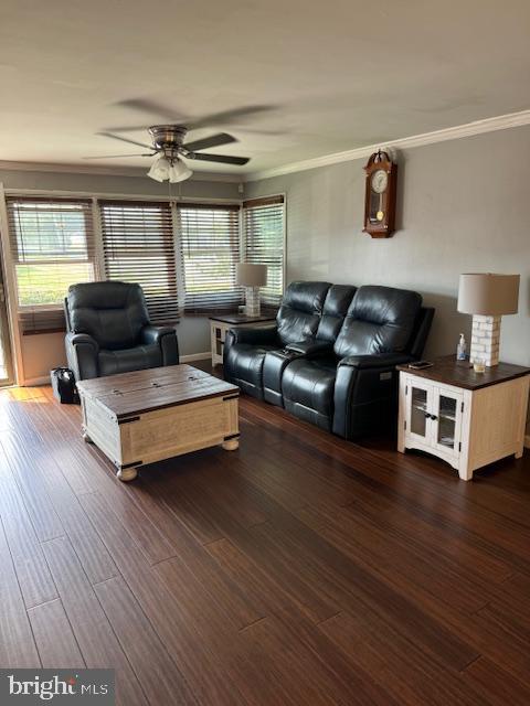 1355 Forrest Street Trainer, PA 19061 - Photo 11 of 37 a living room with furniture and wooden floor