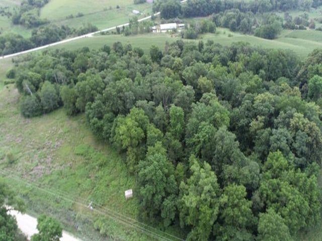 32762 Evergreen Road Strawberry Point, IA 52076 - Photo 2 of 14 Gallery Image 2