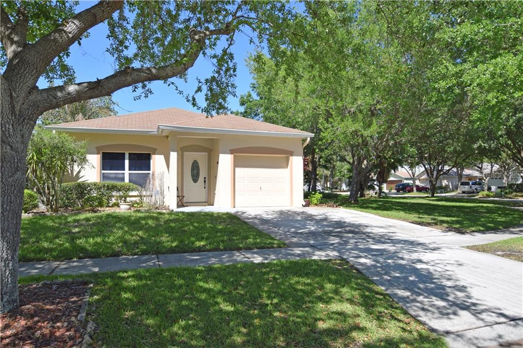 5813 Tanagerlake Road Lithia, FL 33547 - Photo 1 of 1 Gallery Image 1