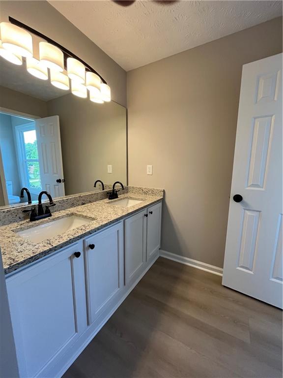 2147 St Albans Place Buford, GA 30519 - Photo 25 of 29 a bathroom with a double vanity sink and a mirror