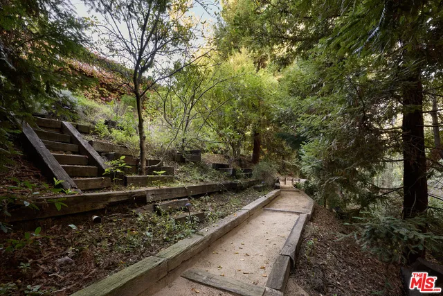 a view of a backyard with trees