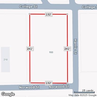 950 Harris Street Mingus, TX 76463 - Photo 3 of 4 Map / location of property area